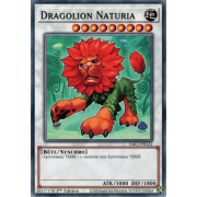 HAC1-FR121 Dragolion Naturia Commune