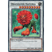 HAC1-FR121 Dragolion Naturia Duel Terminal Normal Parallel Rare