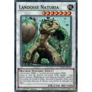 HAC1-FR123 Landoise Naturia Duel Terminal Normal Parallel Rare