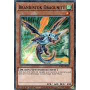 HAC1-FR156 Brandistok Dragunité Duel Terminal Normal Parallel Rare