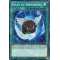 HAC1-FR169 Éclat du Berserker Duel Terminal Normal Parallel Rare