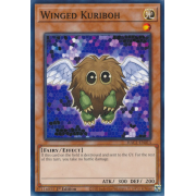 HAC1-EN013 Winged Kuriboh Commune