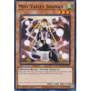 HAC1-EN057 Mist Valley Shaman Commune