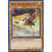 HAC1-EN059 Mist Valley Baby Roc Commune