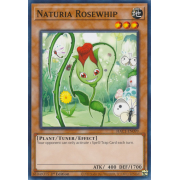 HAC1-EN099 Naturia Rosewhip Commune