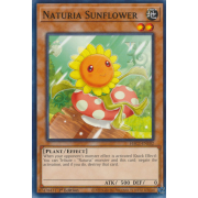 HAC1-EN102 Naturia Sunflower Commune