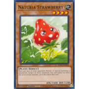 HAC1-EN110 Naturia Strawberry Commune