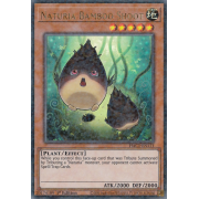 HAC1-EN111 Naturia Bamboo Shoot Duel Terminal Ultra Parallel Rare