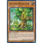 HAC1-EN115 Naturia White Oak Commune