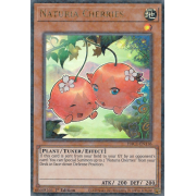 HAC1-EN116 Naturia Cherries Duel Terminal Ultra Parallel Rare