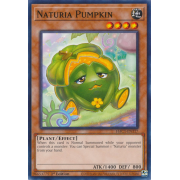 HAC1-EN117 Naturia Pumpkin Commune