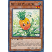 HAC1-EN118 Naturia Pineapple Commune