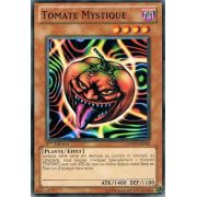 SDMA-FR002 Tomate Mystique Commune