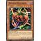 SDMA-FR002 Tomate Mystique Commune