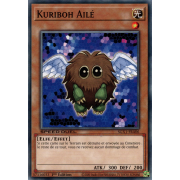 SGX1-FRA06 Kuriboh Ailé Commune