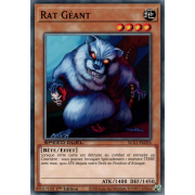 SGX1-FRD03 Rat Géant Commune