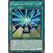 SGX1-FRG13 Fusion du Futur Commune