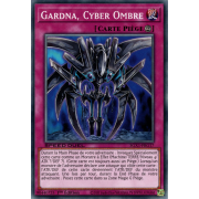 SGX1-FRG17 Gardna, Cyber Ombre Commune