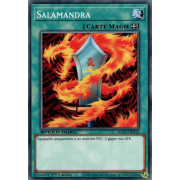 SGX1-FRH12 Salamandra Commune