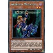 SGX1-FRI05 Apprenti Magicien Secret Rare