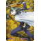 D-TTD01/TRR03EN Nikkari Aoe Touken Ranbu Rare (TRR)