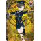 D-TB01/TRR11EN Hirano Toushirou Touken Ranbu Rare (TRR)