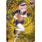 D-TB01/TRR15EN Akita Toushirou Touken Ranbu Rare (TRR)