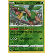 SS09_005/172 Tropius Inverse