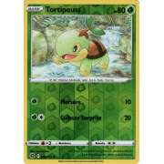 SS09_006/172 Tortipouss Inverse