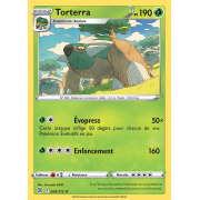 SS09_008/172 Torterra Holo Rare