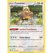 SS09_121/172 Castorno Holo Rare