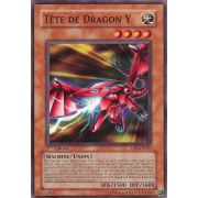 DP2-FR006 Tête de Dragon Y Commune