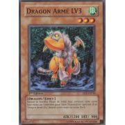 DP2-FR010 Dragon Armé LV3 Commune