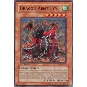 DP2-FR011 Dragon Armé LV5 Commune