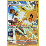 SS09_TG04/TG30 Voltali Holo Rare