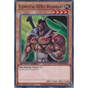 SGX1-ENA10 Elemental HERO Wildheart Commune