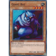 SGX1-END03 Giant Rat Commune