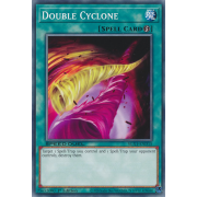 SGX1-END15 Double Cyclone Commune