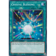 SGX1-ENF12 Crystal Blessing Commune