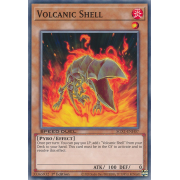 SGX1-ENH07 Volcanic Shell Commune