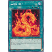SGX1-ENH16 Wild Fire Commune