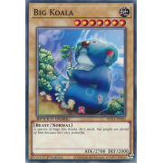 SGX1-ENI02 Big Koala Commune