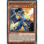 SDAZ-FR012 Dragon Blanc Destruvouivre Commune