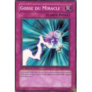 DP03-FR028 Gosse du Miracle Commune