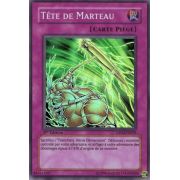 DP03-FR029 Tête de Marteau Super Rare