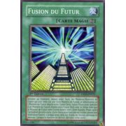 DP04-FR023 Fusion du Futur Commune