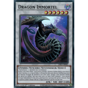 DIFO-FR041 Dragon Immortel Super Rare