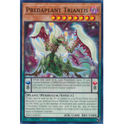 DIFO-EN019 Predaplant Triantis Commune