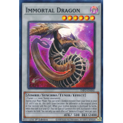 DIFO-EN041 Immortal Dragon Super Rare