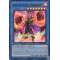 DIFO-EN087 Libromancer Fireburst Ultra Rare